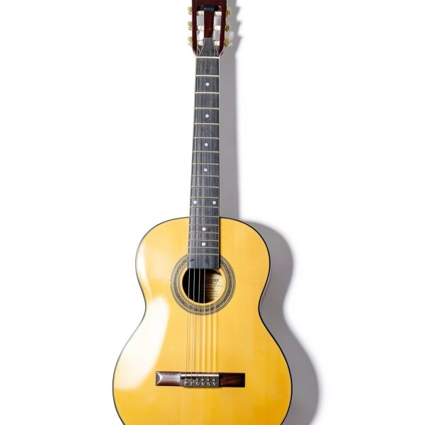 Guitar Fretboard Technical Wood Black G1023404YYX7-6