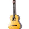 Guitar Fretboard Black Technical Wood-6